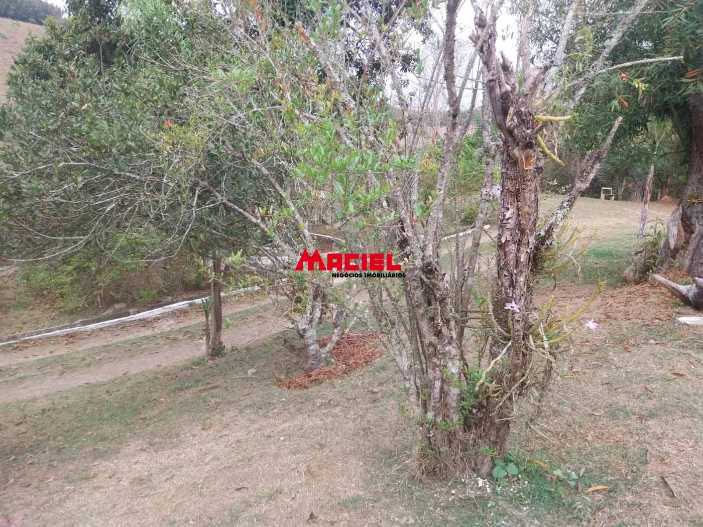 Comprar Rural / Ch&aacute;cara em Paraibuna R$ 530.000,00 - Foto 47