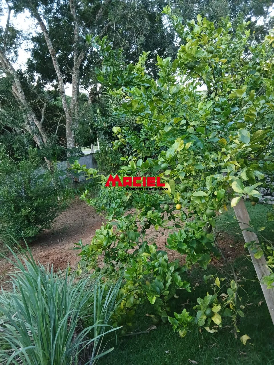 Alugar Casa / Condom&iacute;nio em Jambeiro R$ 4.000,00 - Foto 42