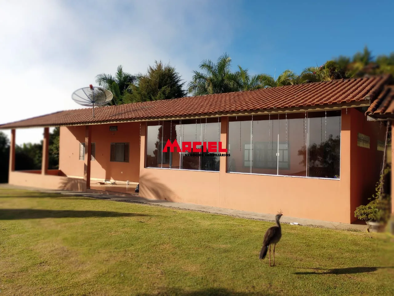 Comprar Rural / S&iacute;tio em Paraibuna R$ 450.000,00 - Foto 1