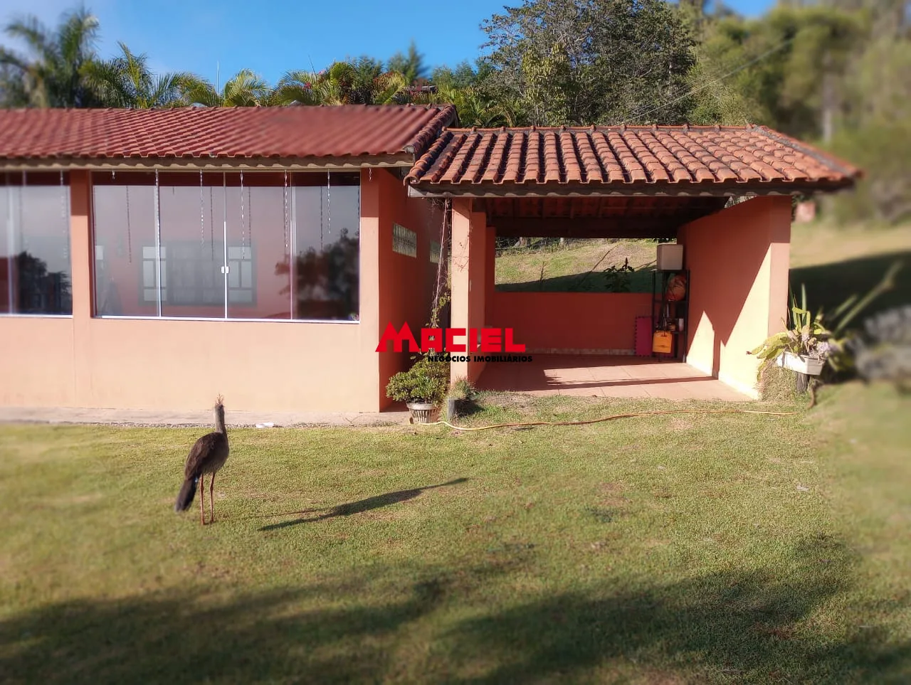Comprar Rural / S&iacute;tio em Paraibuna R$ 450.000,00 - Foto 6