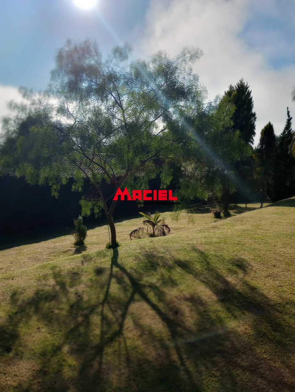 Comprar Rural / S&iacute;tio em Paraibuna R$ 450.000,00 - Foto 10