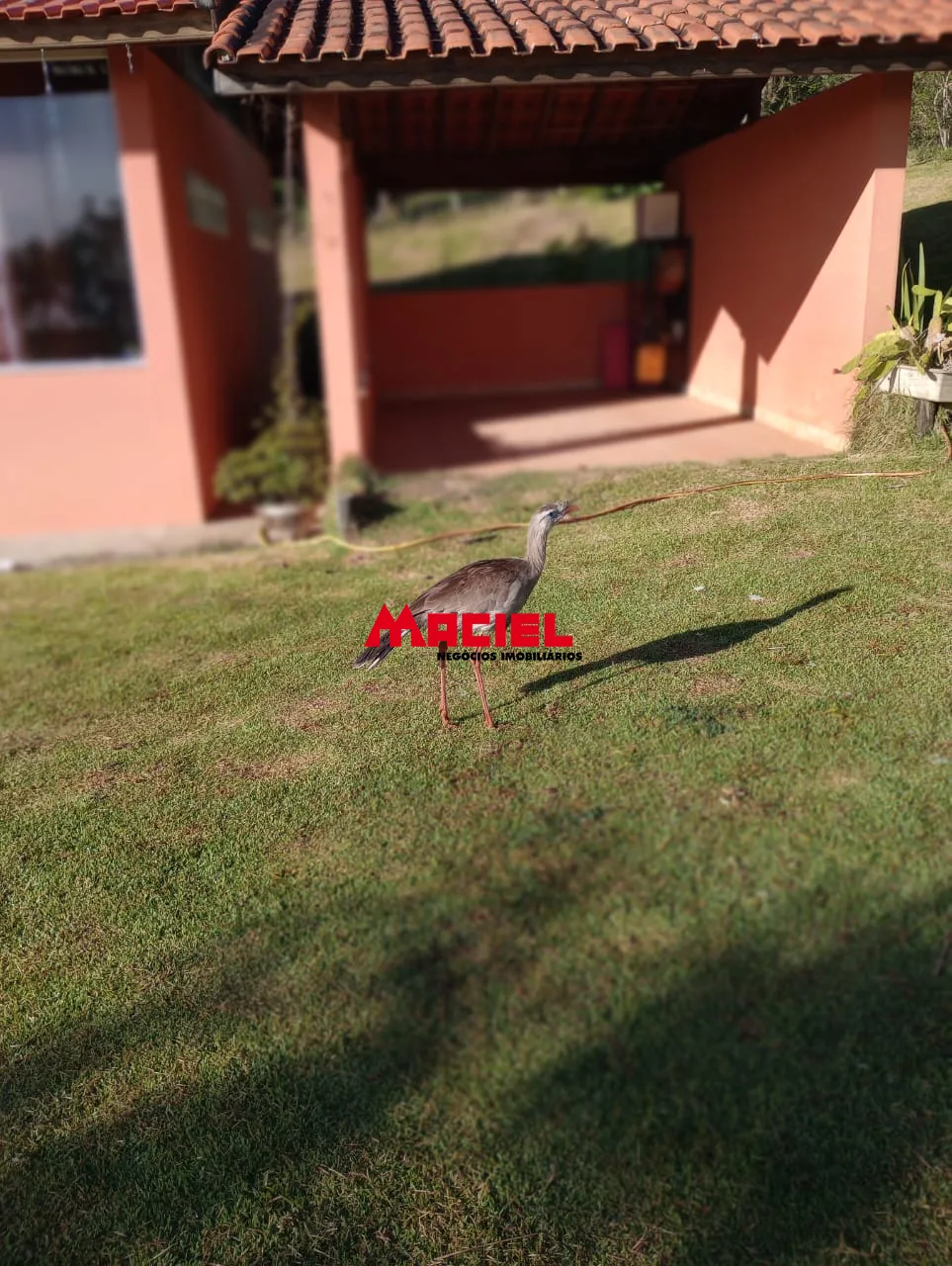 Comprar Rural / S&iacute;tio em Paraibuna R$ 450.000,00 - Foto 16