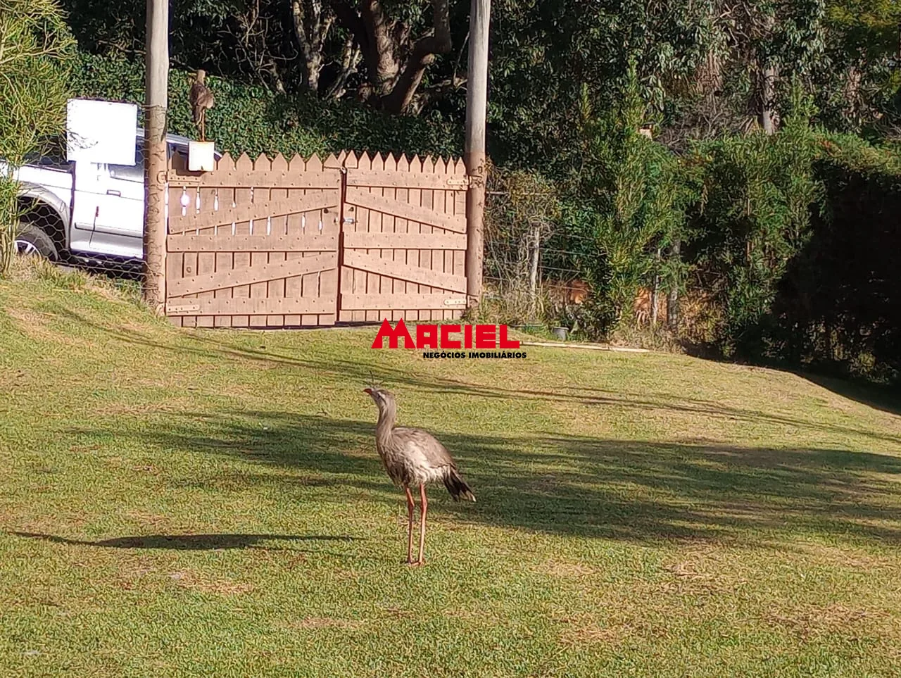 Comprar Rural / S&iacute;tio em Paraibuna R$ 450.000,00 - Foto 17