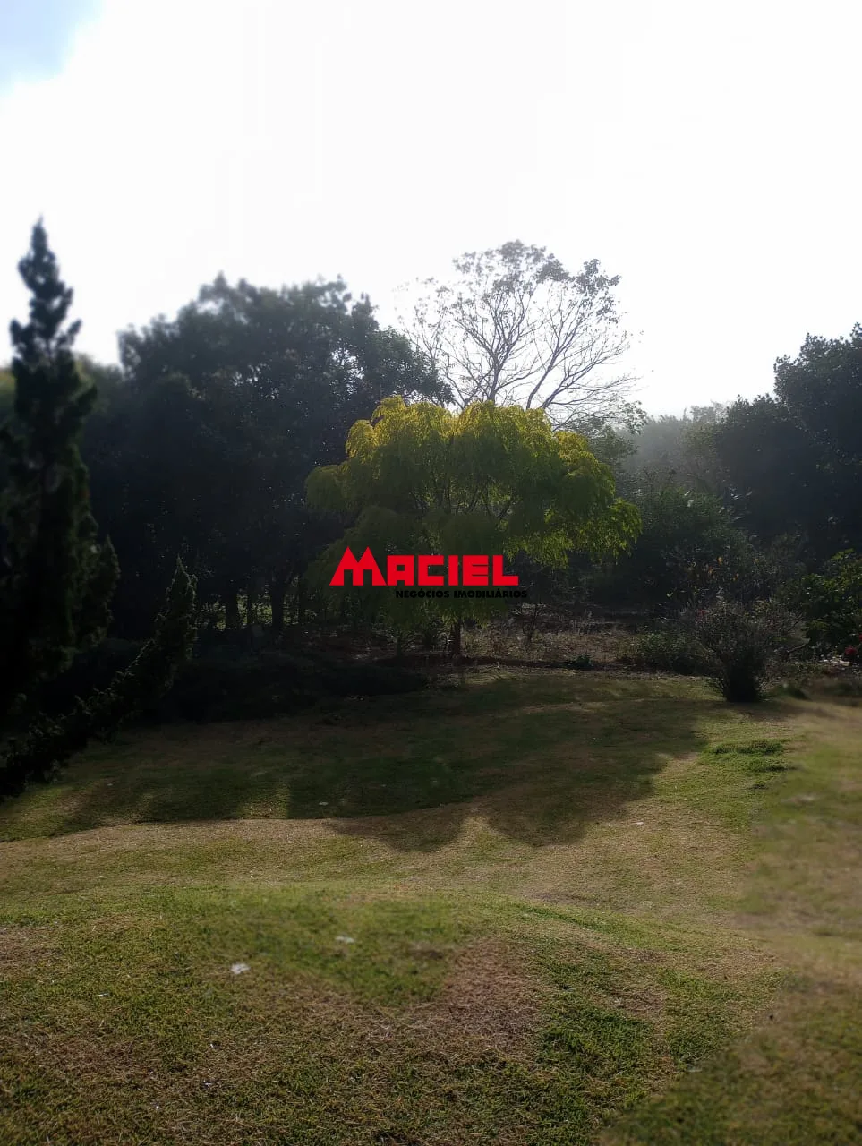 Comprar Rural / S&iacute;tio em Paraibuna R$ 450.000,00 - Foto 22