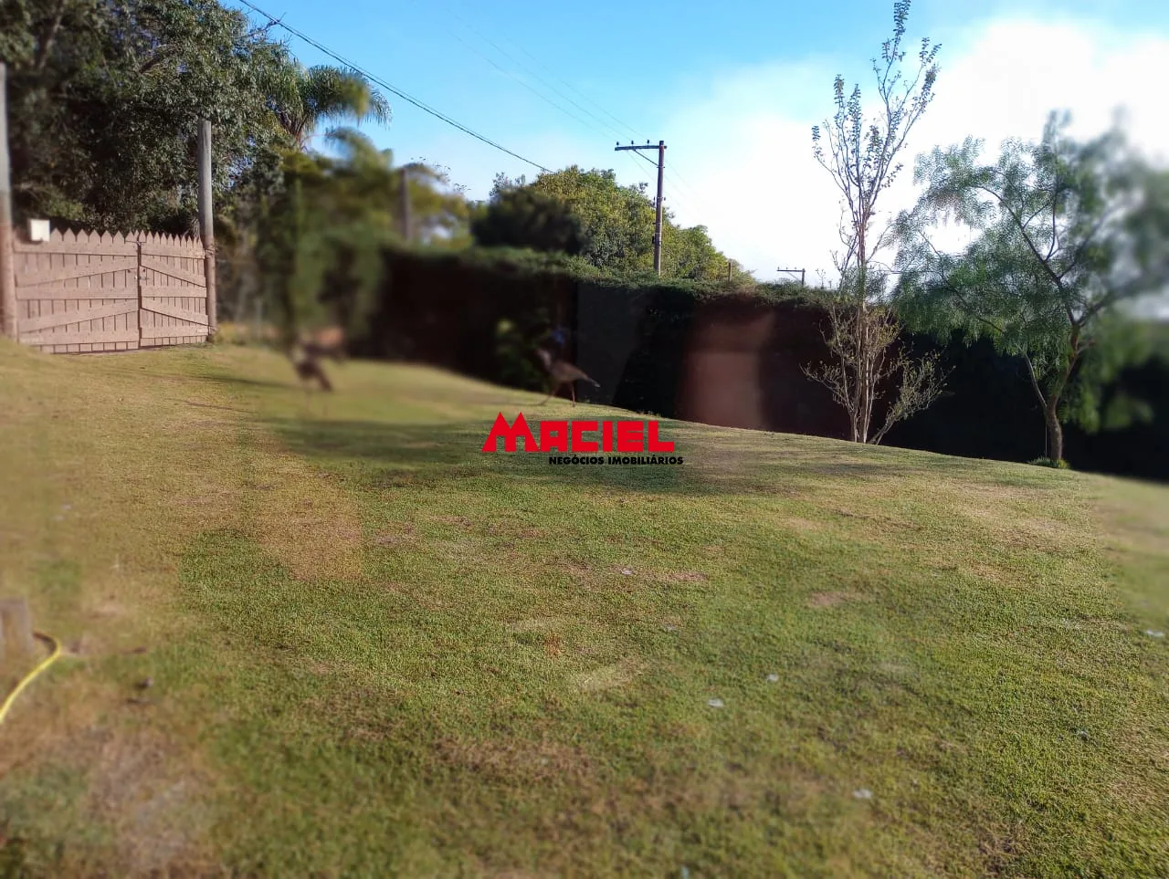 Comprar Rural / S&iacute;tio em Paraibuna R$ 450.000,00 - Foto 28