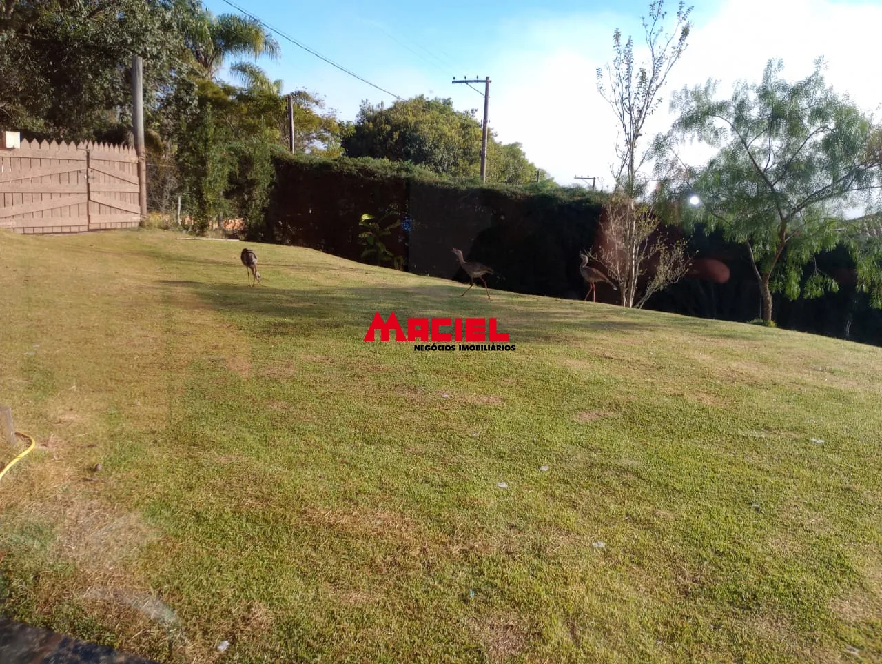 Comprar Rural / S&iacute;tio em Paraibuna R$ 450.000,00 - Foto 34