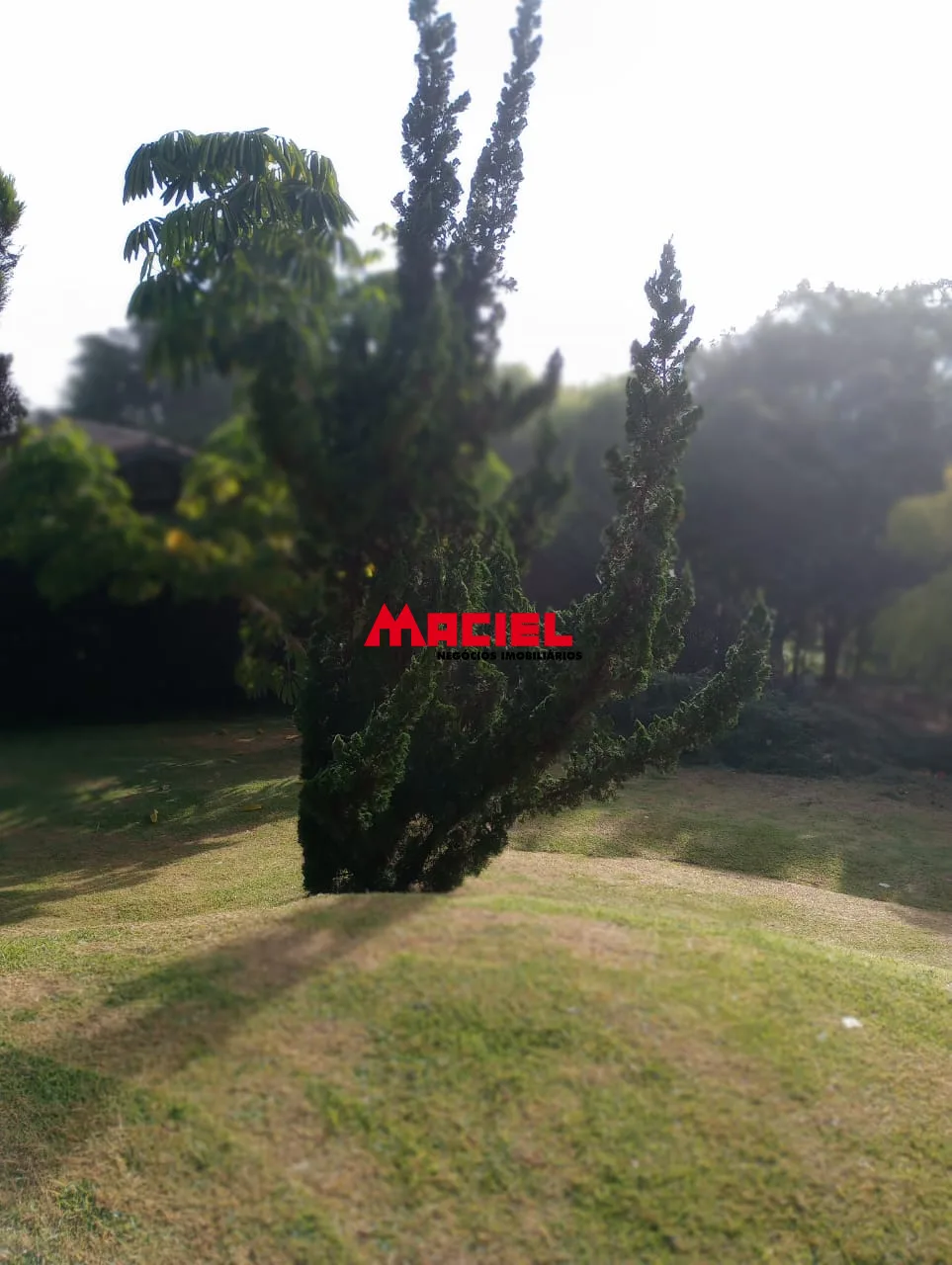 Comprar Rural / S&iacute;tio em Paraibuna R$ 450.000,00 - Foto 47