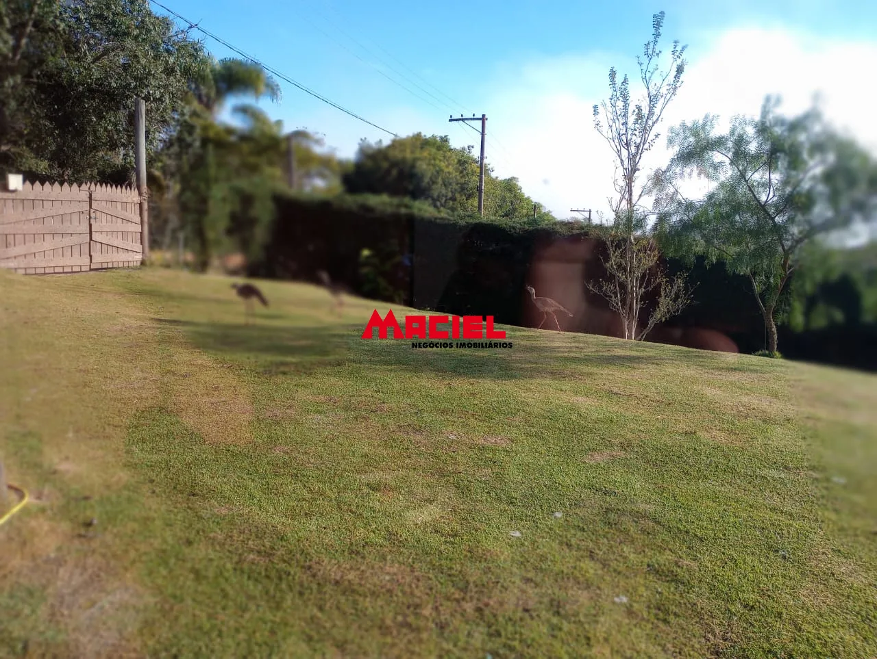 Comprar Rural / S&iacute;tio em Paraibuna R$ 450.000,00 - Foto 48