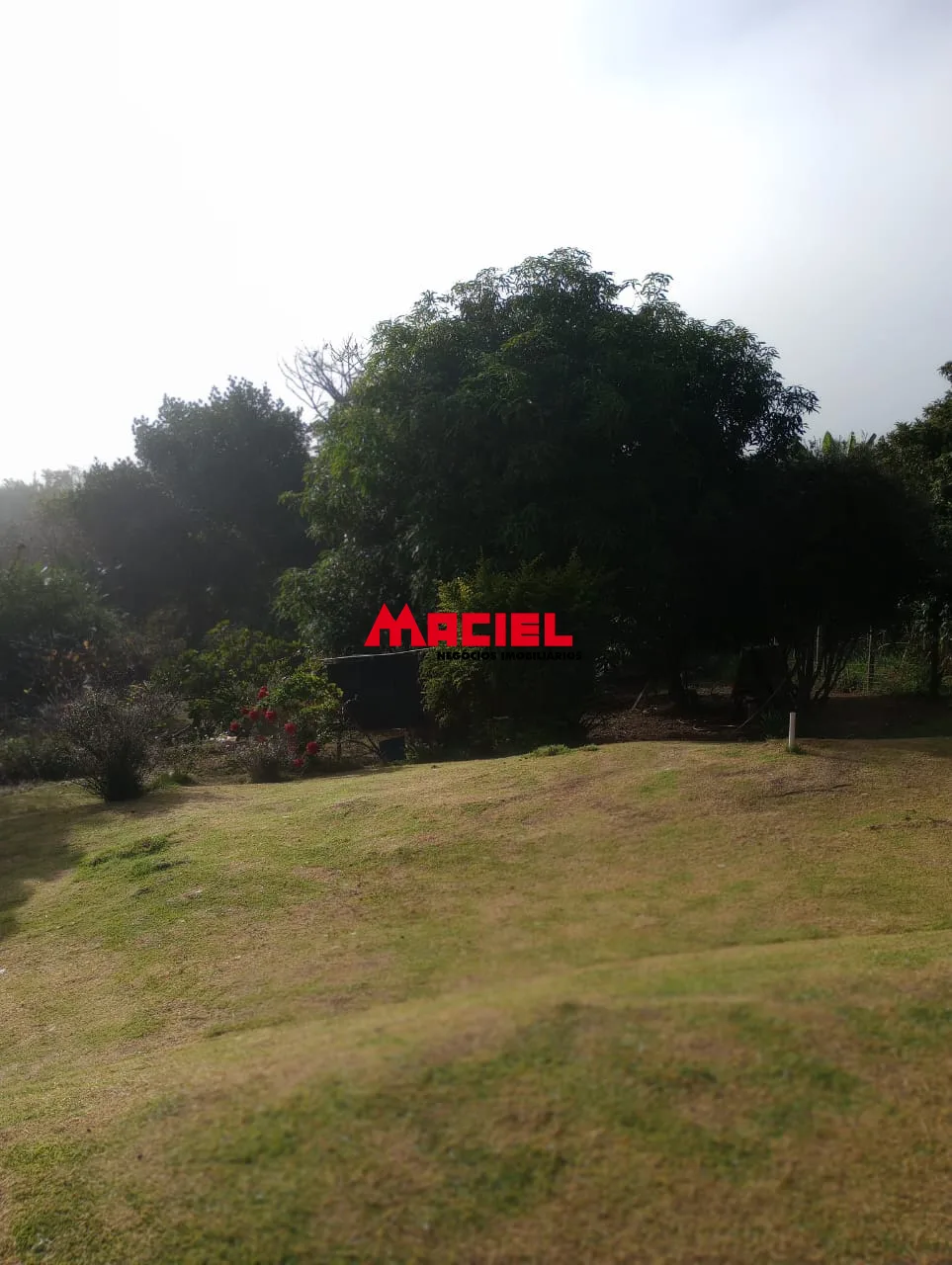 Comprar Rural / S&iacute;tio em Paraibuna R$ 450.000,00 - Foto 54