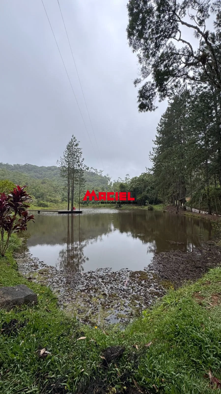 Comprar Rural / S&iacute;tio em Paraibuna R$ 2.500.000,00 - Foto 27
