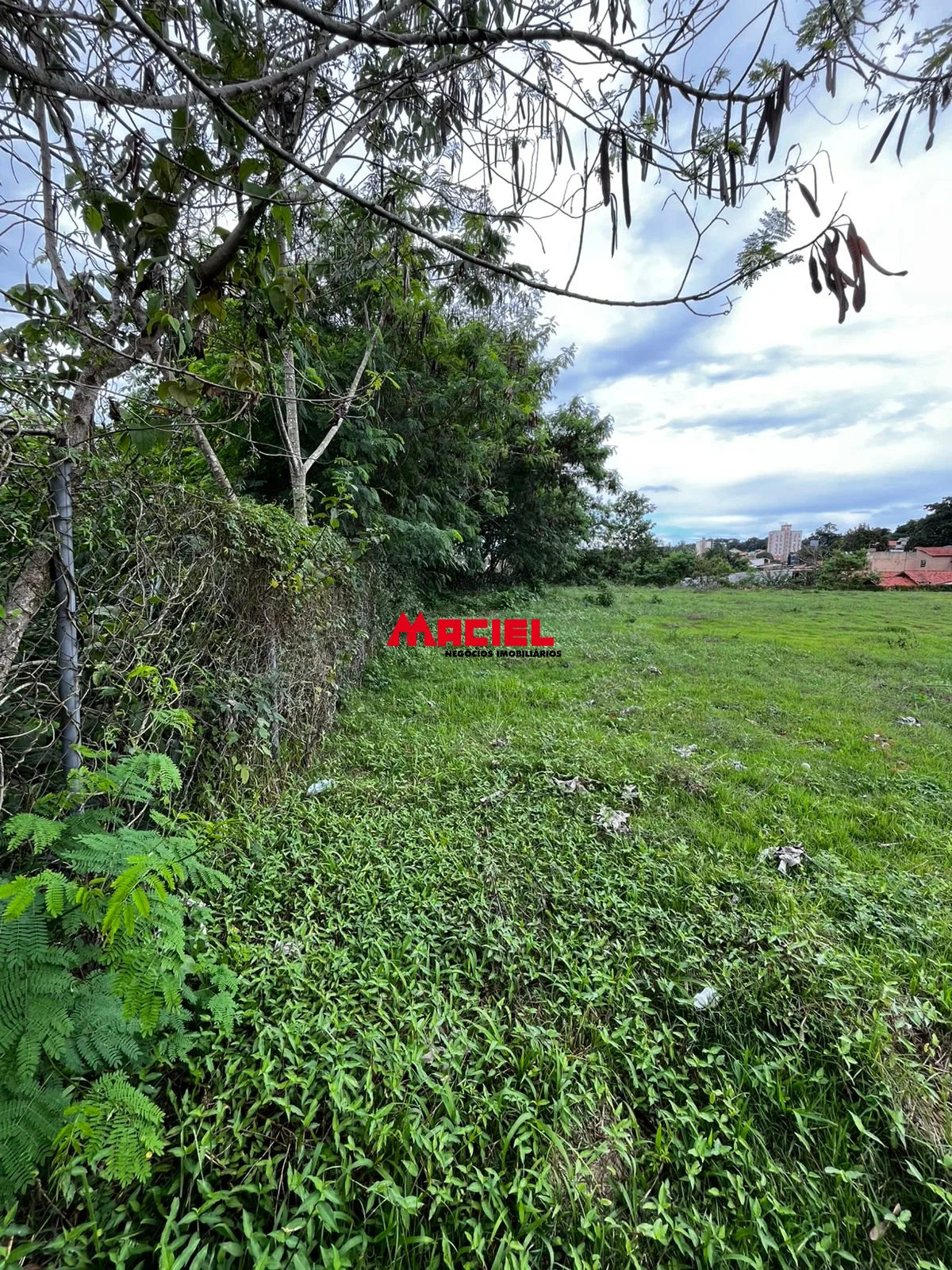 Comprar Terreno / &Aacute;rea em S&atilde;o Jos&eacute; dos Campos R$ 3.200.000,00 - Foto 8