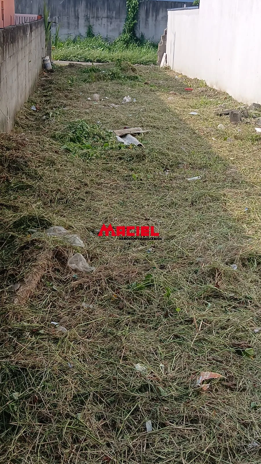 Comprar Terreno / Padr&atilde;o em Caraguatatuba R$ 130.000,00 - Foto 4