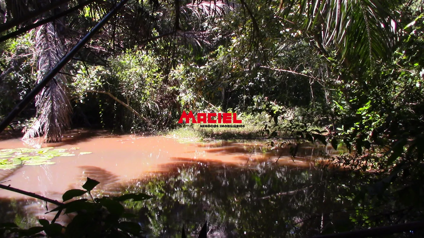 Comprar Rural / Fazenda em Roseira R$ 4.000.000,00 - Foto 3