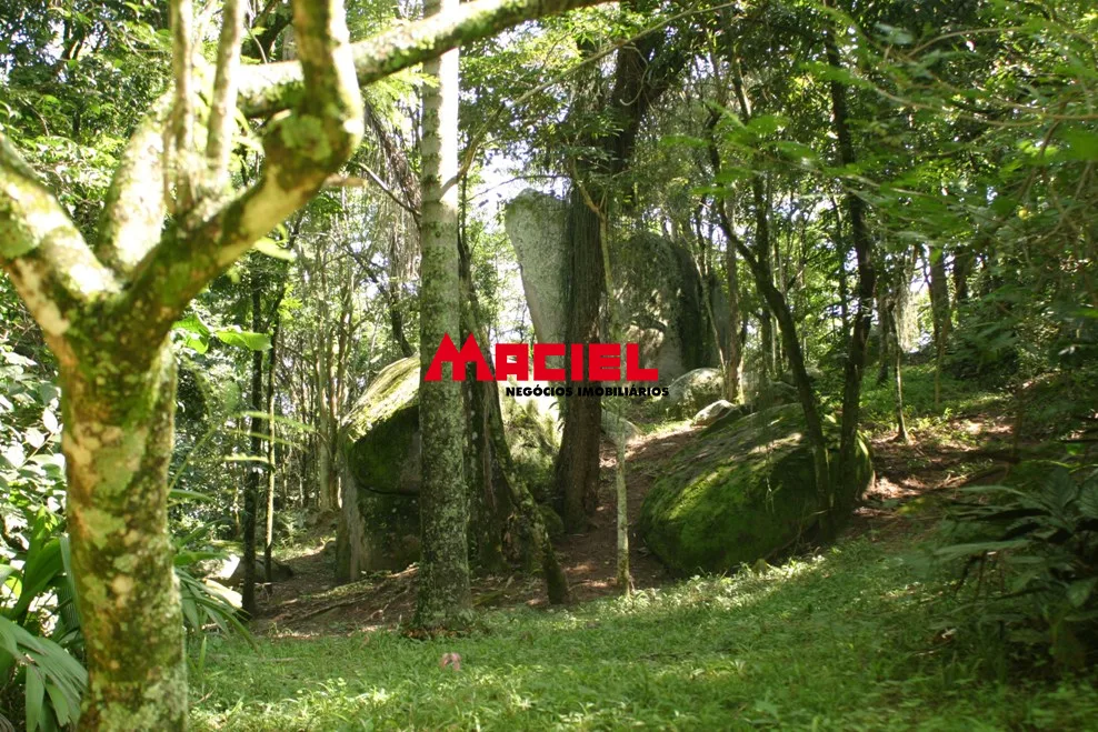 Comprar Rural / Fazenda em Roseira R$ 4.000.000,00 - Foto 2