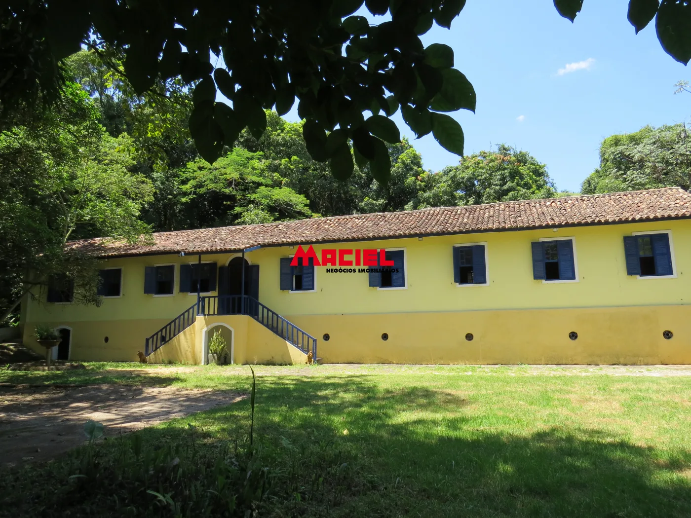 Comprar Rural / Fazenda em Roseira R$ 4.000.000,00 - Foto 4