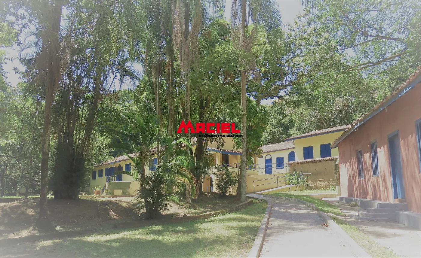 Comprar Rural / Fazenda em Roseira R$ 4.000.000,00 - Foto 5