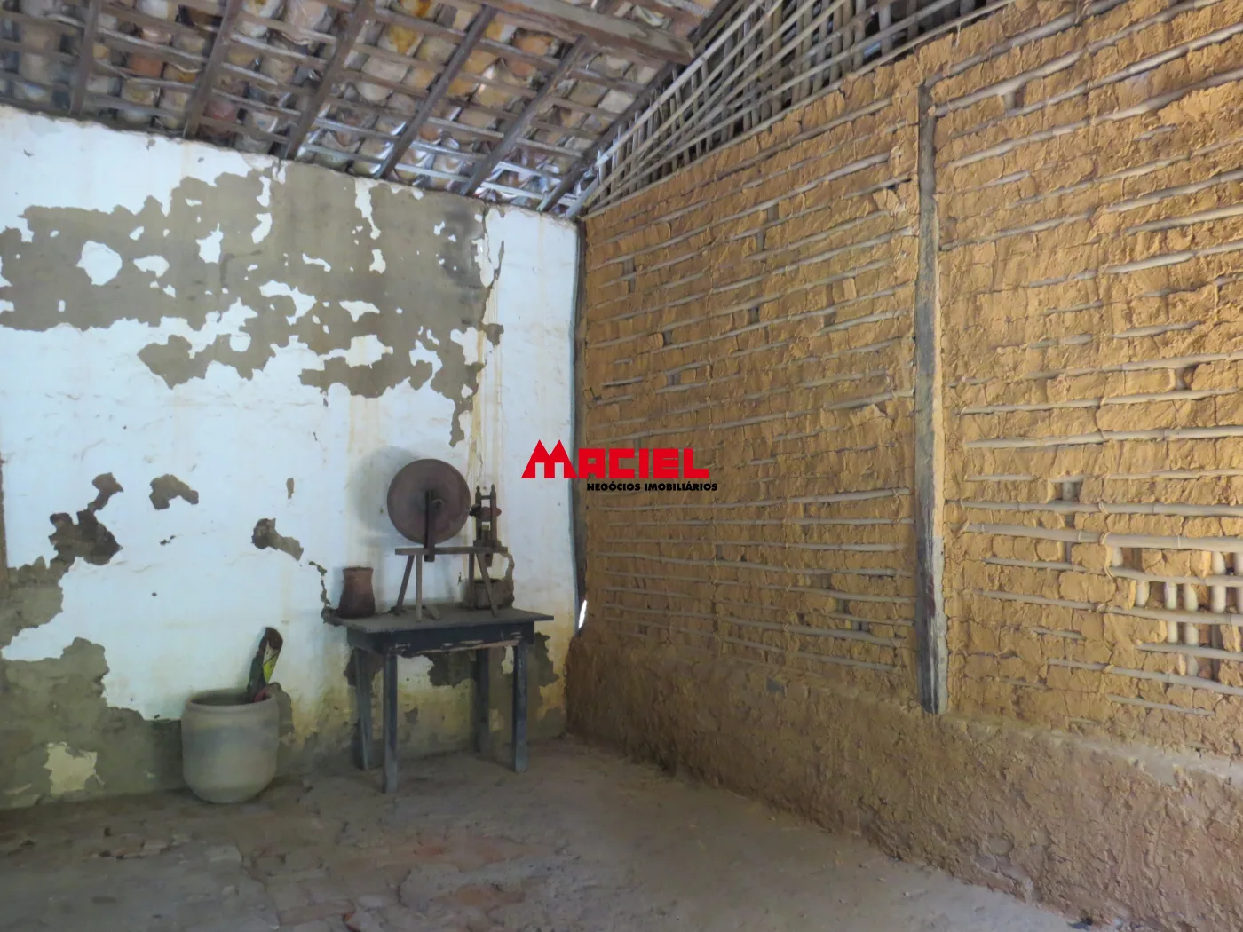 Comprar Rural / Fazenda em Roseira R$ 4.000.000,00 - Foto 6