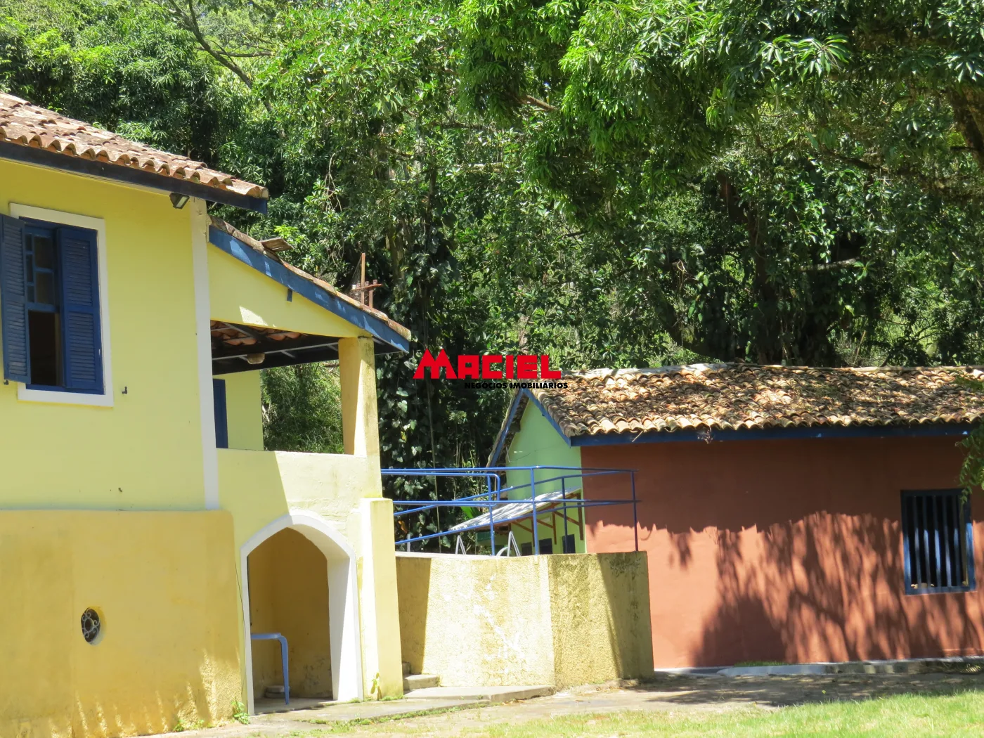 Comprar Rural / Fazenda em Roseira R$ 4.000.000,00 - Foto 10