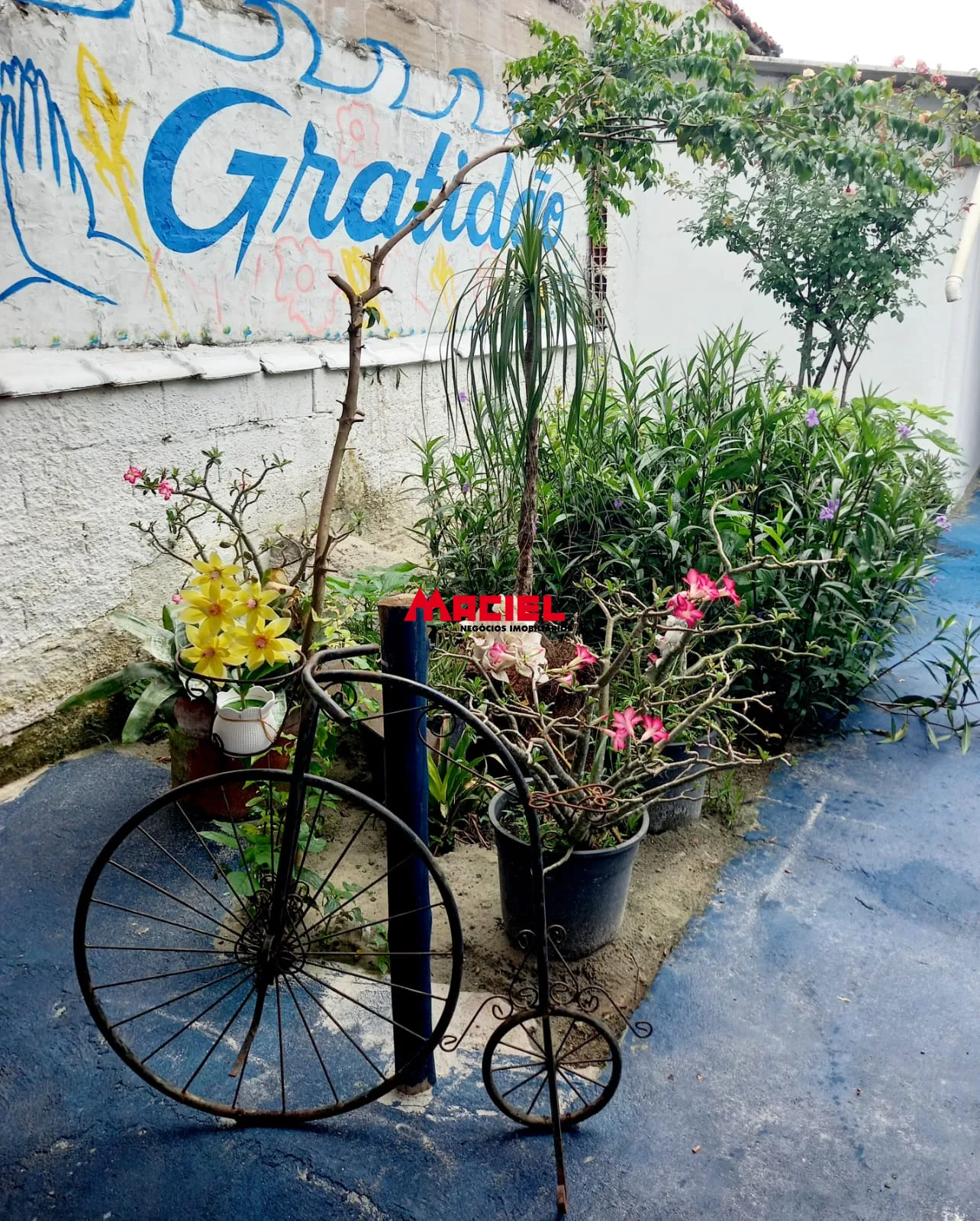 Comprar Casa / Padr&atilde;o em Caraguatatuba R$ 550.000,00 - Foto 39