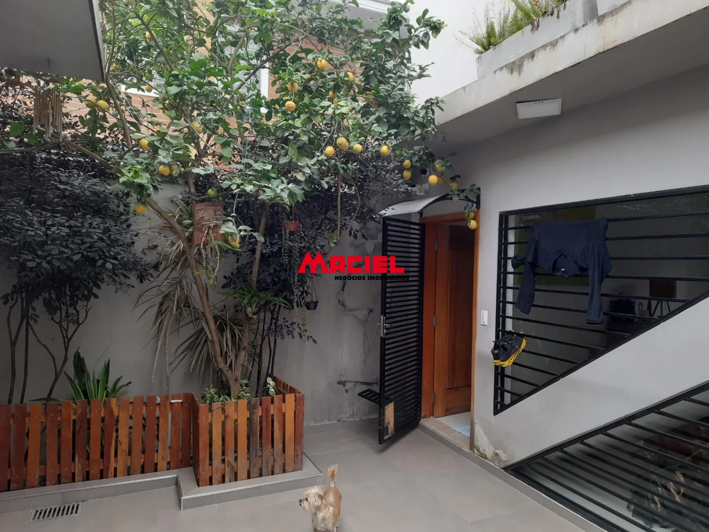 Comprar Casa / Padr&atilde;o em Ca&ccedil;apava R$ 798.000,00 - Foto 10