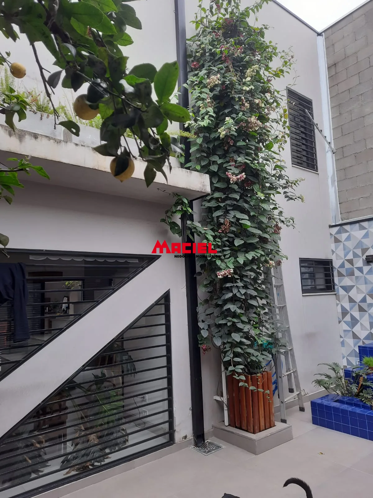 Comprar Casa / Padr&atilde;o em Ca&ccedil;apava R$ 798.000,00 - Foto 13