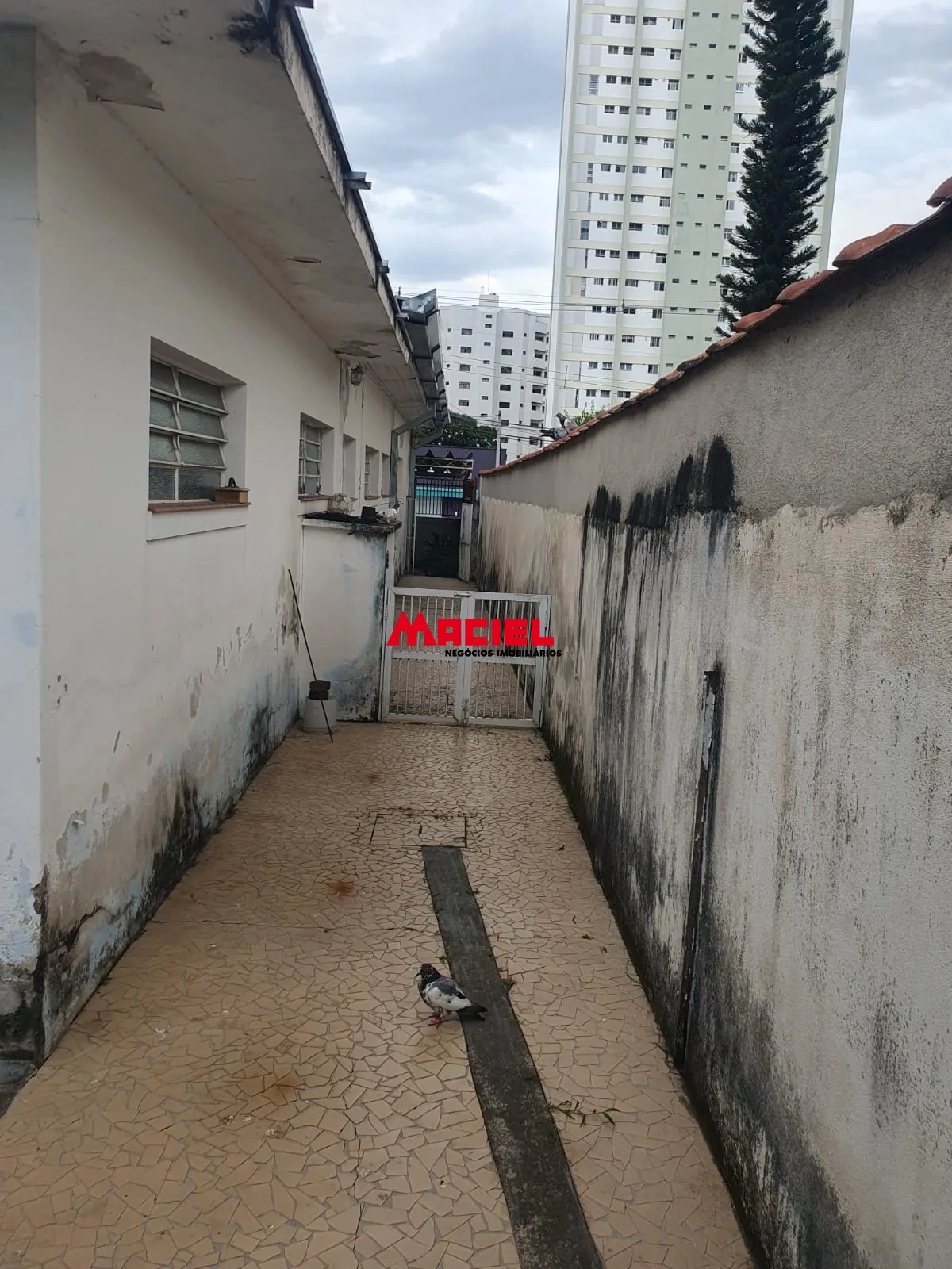 Comprar Casa / Padr&atilde;o em S&atilde;o Jos&eacute; dos Campos R$ 2.500.000,00 - Foto 2