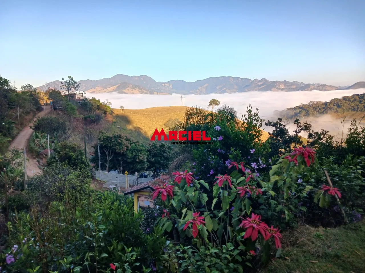 Comprar Rural / Ch&aacute;cara em S&atilde;o Bento do Sapuca&iacute; R$ 480.000,00 - Foto 3