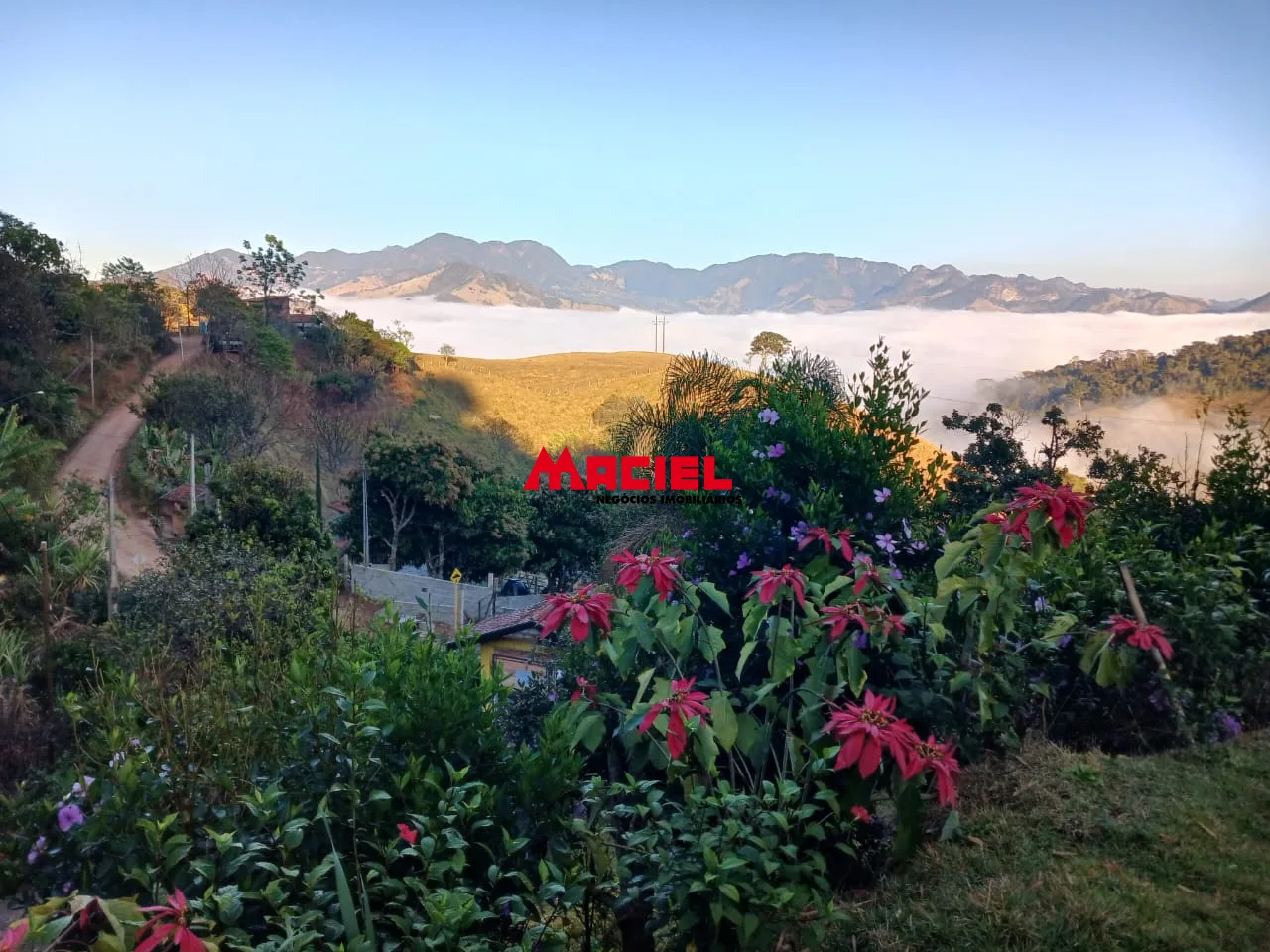 Comprar Rural / Ch&aacute;cara em S&atilde;o Bento do Sapuca&iacute; R$ 480.000,00 - Foto 7