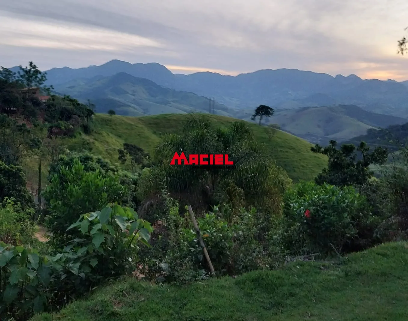 Comprar Rural / Ch&aacute;cara em S&atilde;o Bento do Sapuca&iacute; R$ 480.000,00 - Foto 14