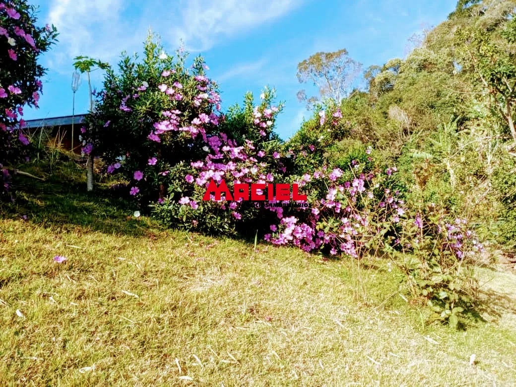 Comprar Rural / Ch&aacute;cara em S&atilde;o Bento do Sapuca&iacute; R$ 480.000,00 - Foto 17