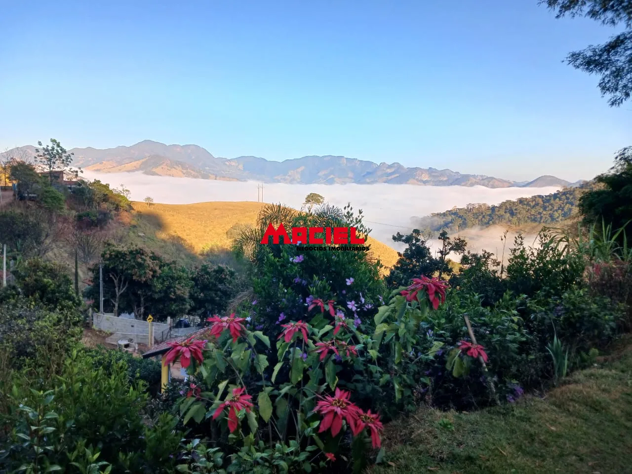 Comprar Rural / Ch&aacute;cara em S&atilde;o Bento do Sapuca&iacute; R$ 480.000,00 - Foto 19