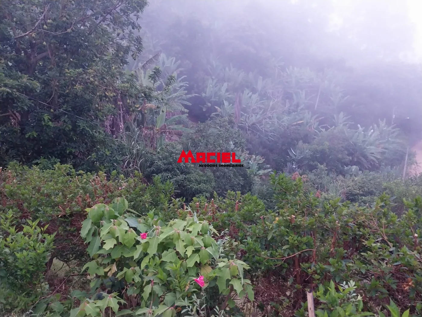 Comprar Rural / Ch&aacute;cara em S&atilde;o Bento do Sapuca&iacute; R$ 480.000,00 - Foto 21