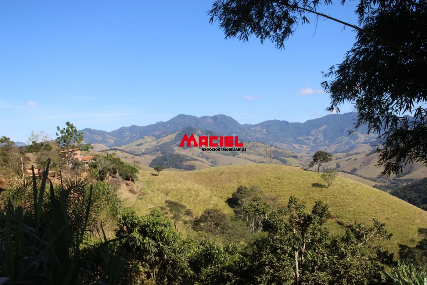 Comprar Rural / Ch&aacute;cara em S&atilde;o Bento do Sapuca&iacute; R$ 480.000,00 - Foto 23