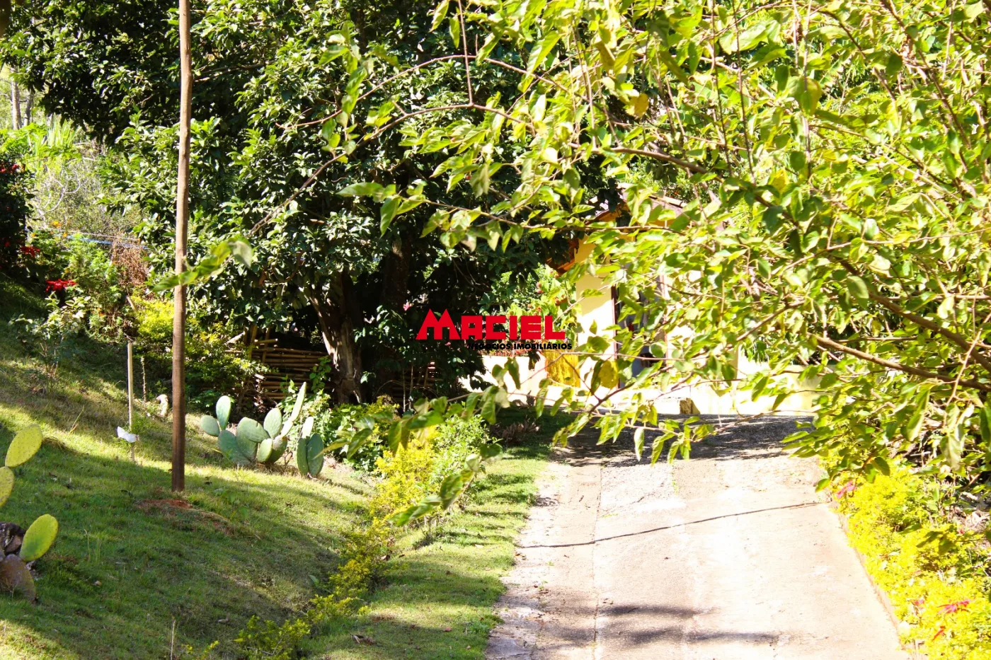 Comprar Rural / Ch&aacute;cara em S&atilde;o Bento do Sapuca&iacute; R$ 480.000,00 - Foto 27