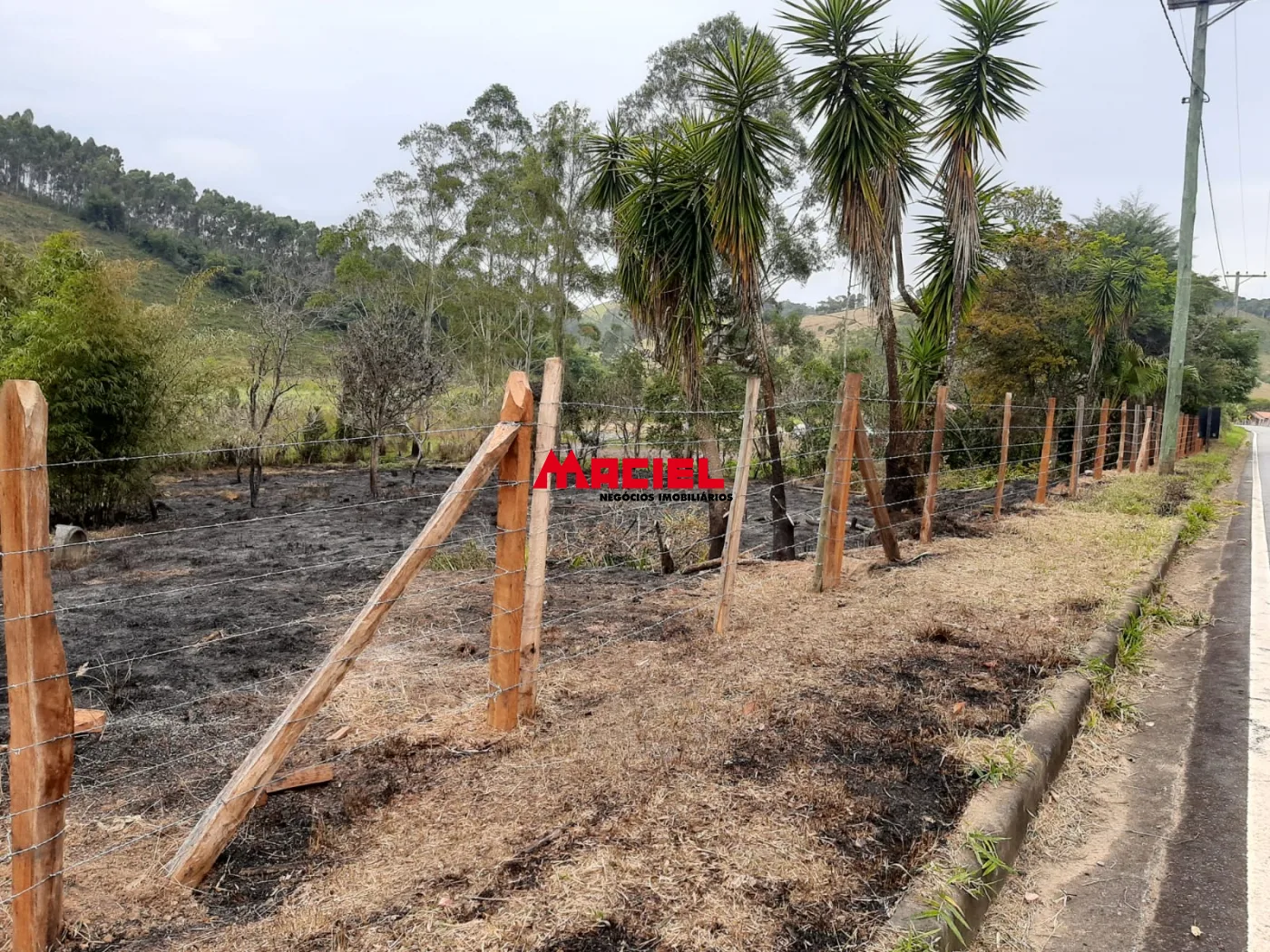 Comprar Terreno / &Aacute;rea em Paraibuna R$ 320.000,00 - Foto 4