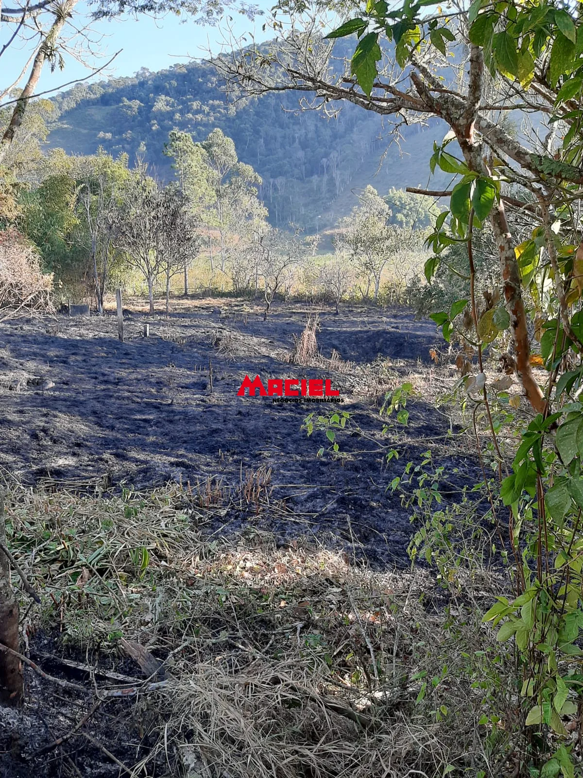Comprar Terreno / &Aacute;rea em Paraibuna R$ 320.000,00 - Foto 1
