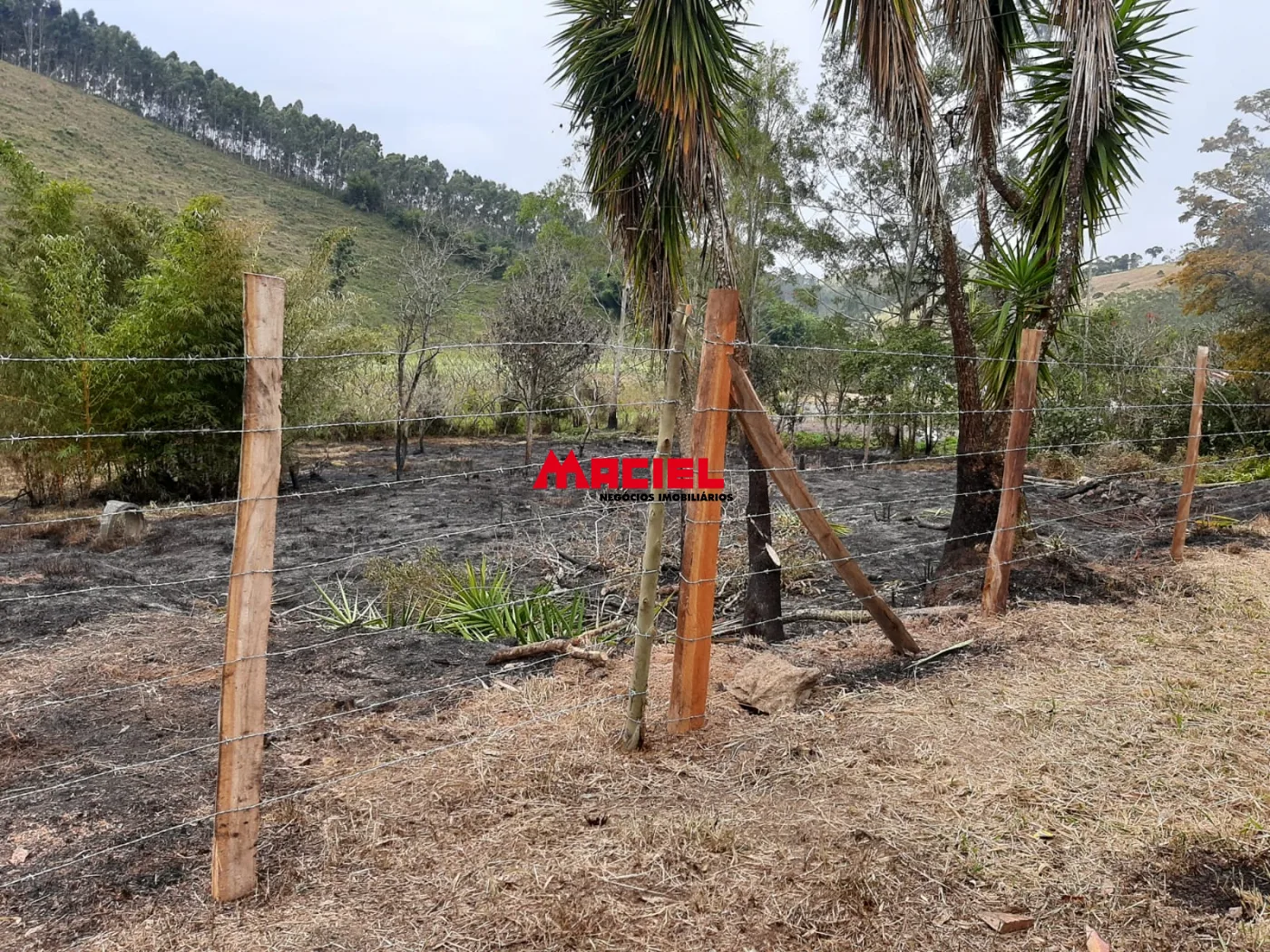 Comprar Terreno / &Aacute;rea em Paraibuna R$ 320.000,00 - Foto 3