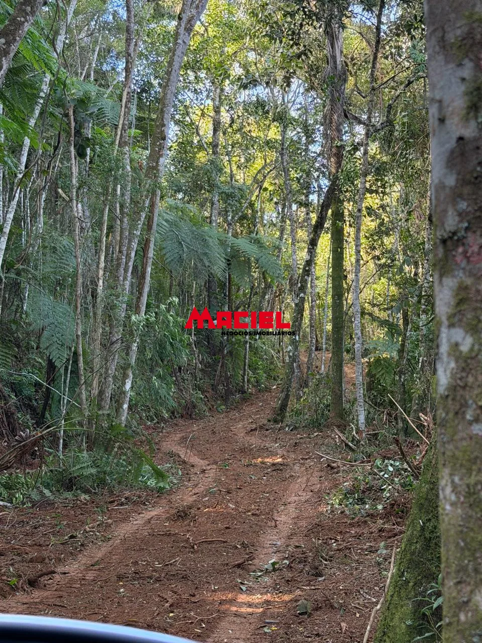 Comprar Rural / Fazenda, S&iacute;tio e Ch&aacute;cara em S&atilde;o Jos&eacute; dos Campos R$ 250.000,00 - Foto 5