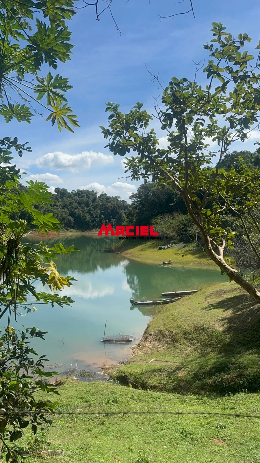 Comprar Rural / Fazenda, S&iacute;tio e Ch&aacute;cara em Santa Branca R$ 290.000,00 - Foto 3
