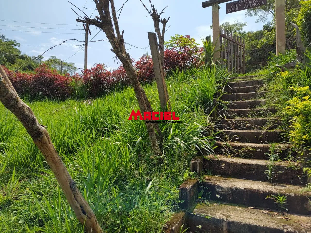 Comprar Rural / Fazenda, S&iacute;tio e Ch&aacute;cara em Santa Branca R$ 290.000,00 - Foto 13