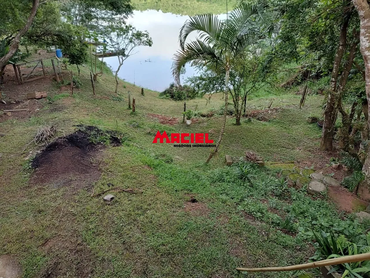 Comprar Rural / Fazenda, S&iacute;tio e Ch&aacute;cara em Santa Branca R$ 290.000,00 - Foto 14