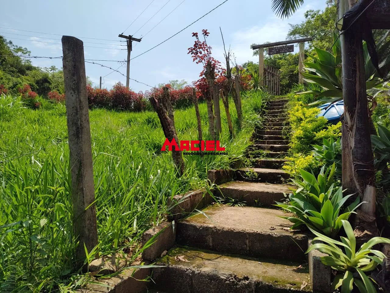 Comprar Rural / Fazenda, S&iacute;tio e Ch&aacute;cara em Santa Branca R$ 290.000,00 - Foto 15