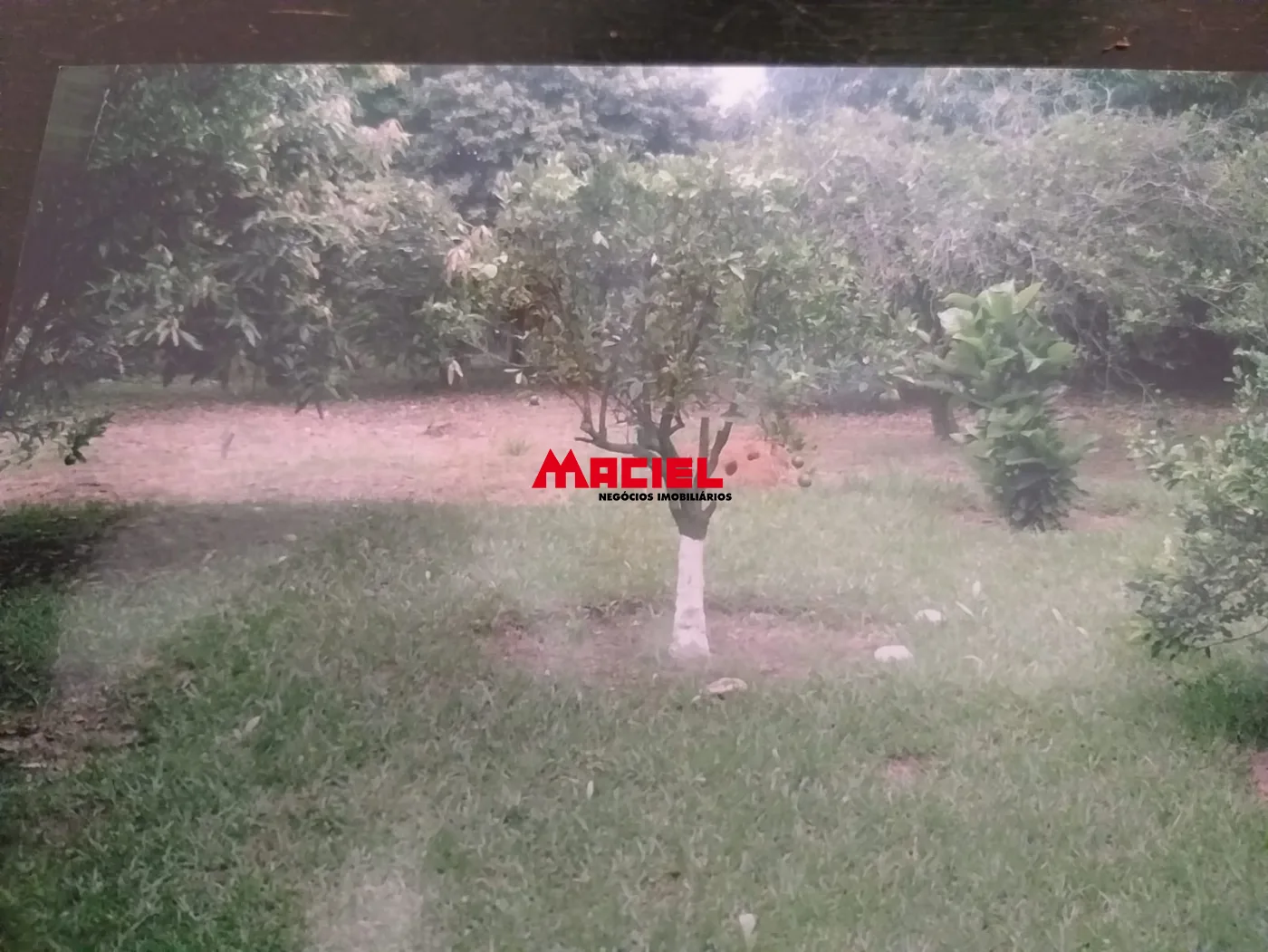 Comprar Casa / Padr&atilde;o em S&atilde;o Jos&eacute; dos Campos R$ 950.000,00 - Foto 14