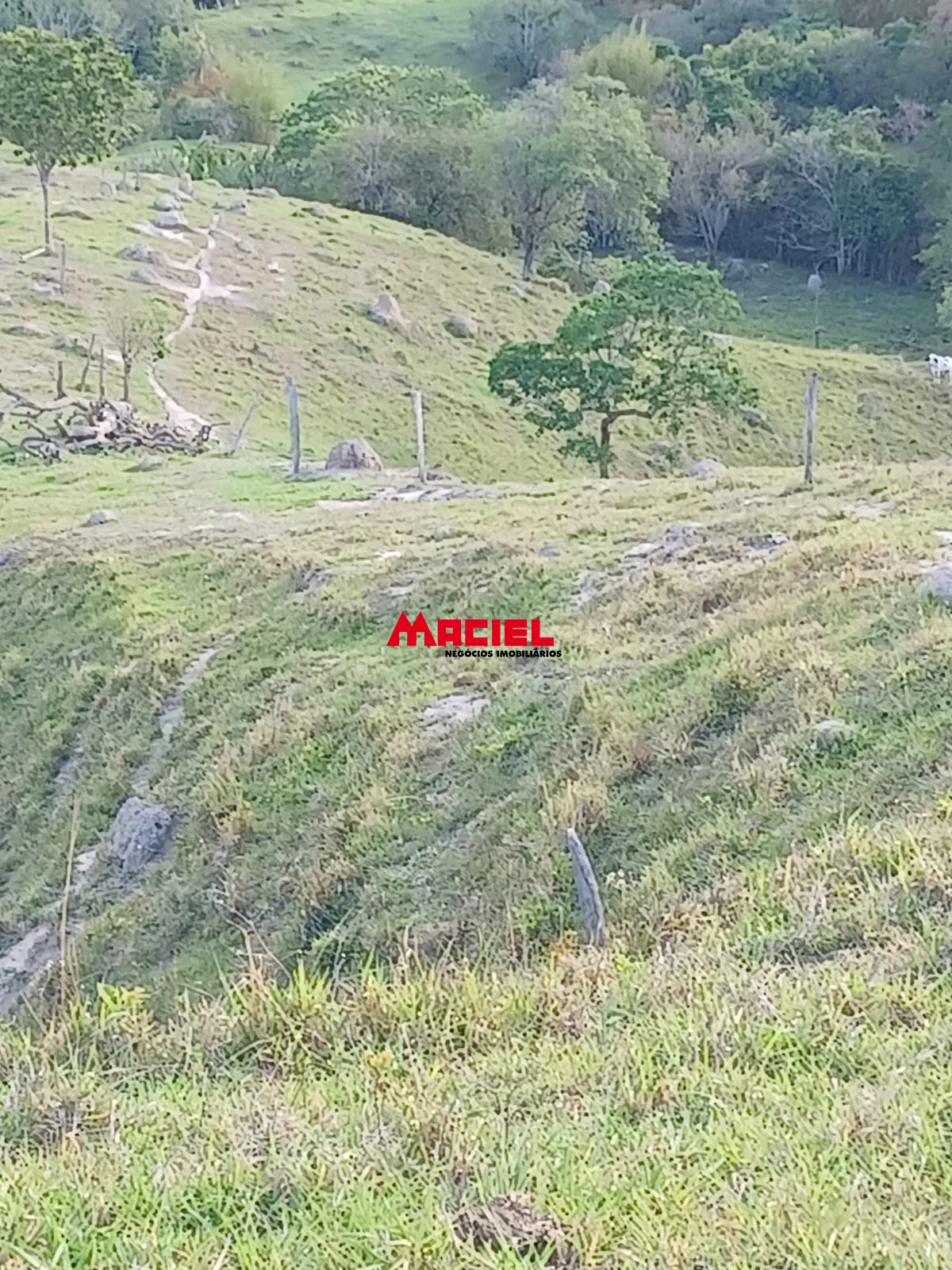 Comprar Rural / S&iacute;tio em Ca&ccedil;apava R$ 2.000.000,00 - Foto 10