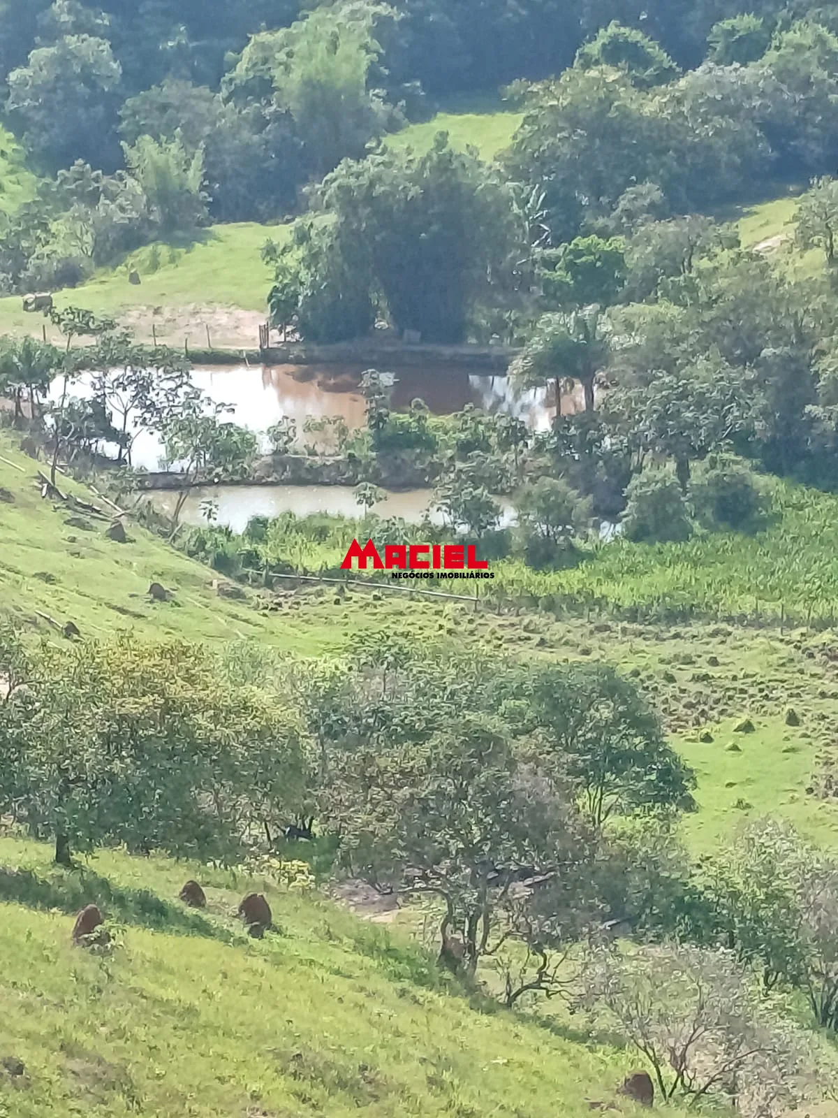 Comprar Rural / S&iacute;tio em Ca&ccedil;apava R$ 2.000.000,00 - Foto 6