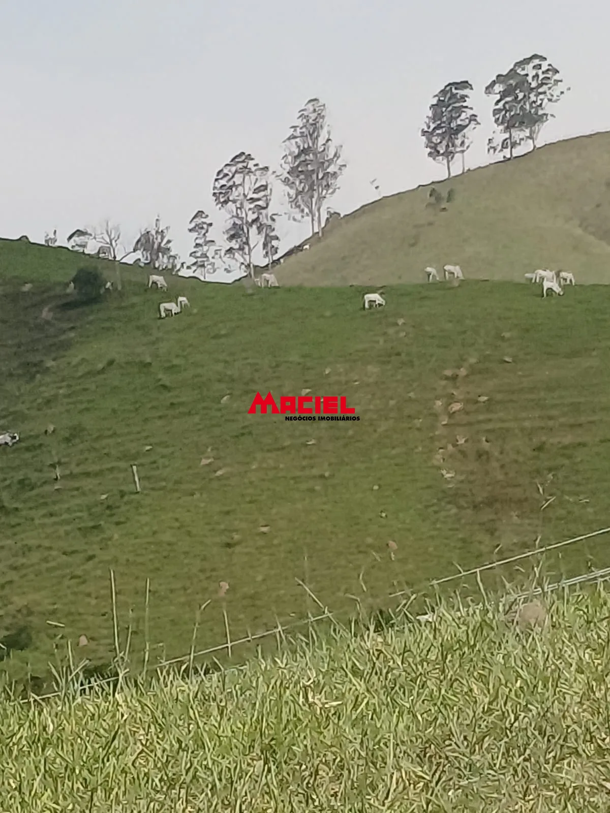 Comprar Rural / S&iacute;tio em Ca&ccedil;apava R$ 2.000.000,00 - Foto 9