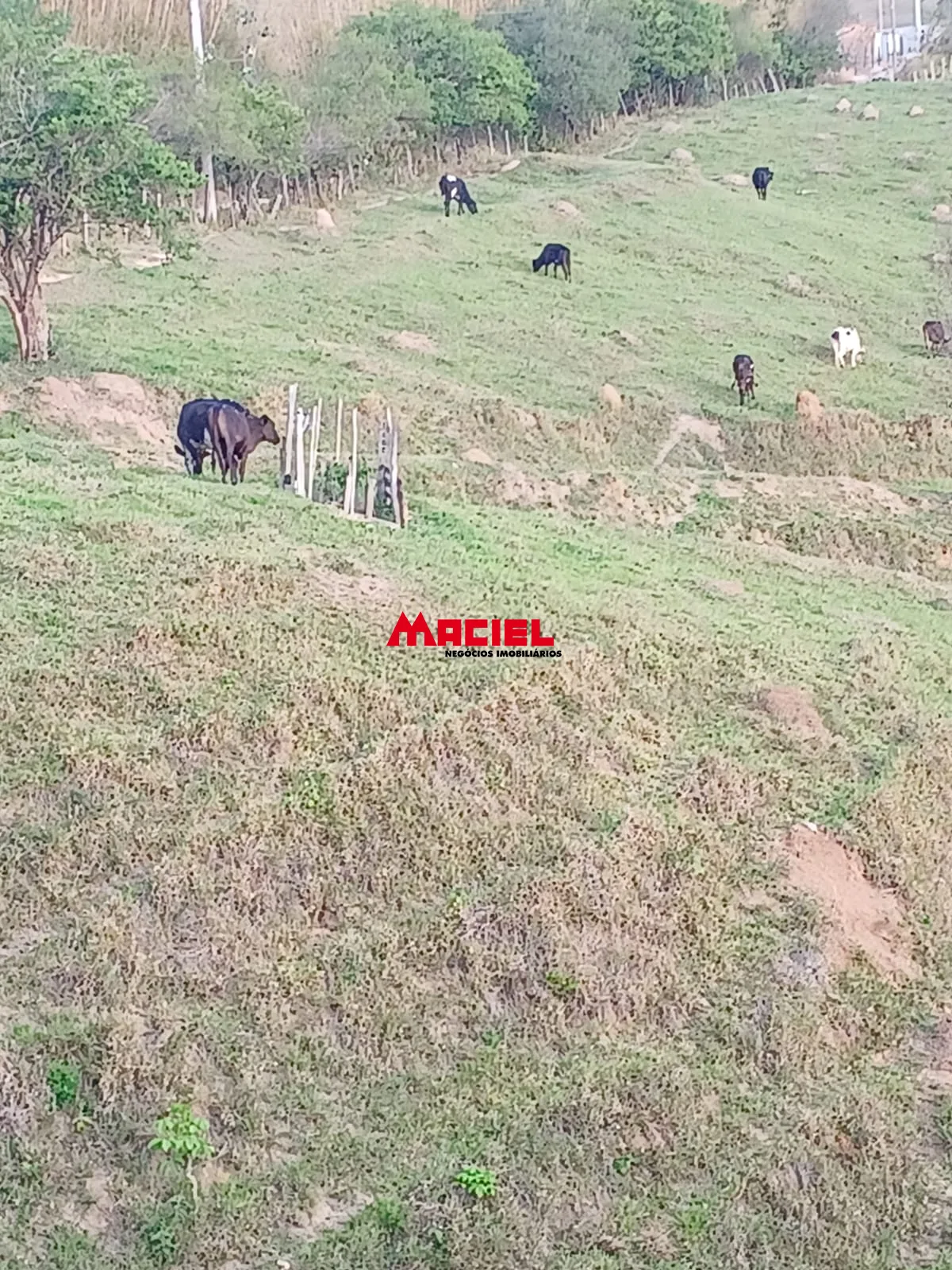Comprar Rural / S&iacute;tio em Ca&ccedil;apava R$ 2.000.000,00 - Foto 17