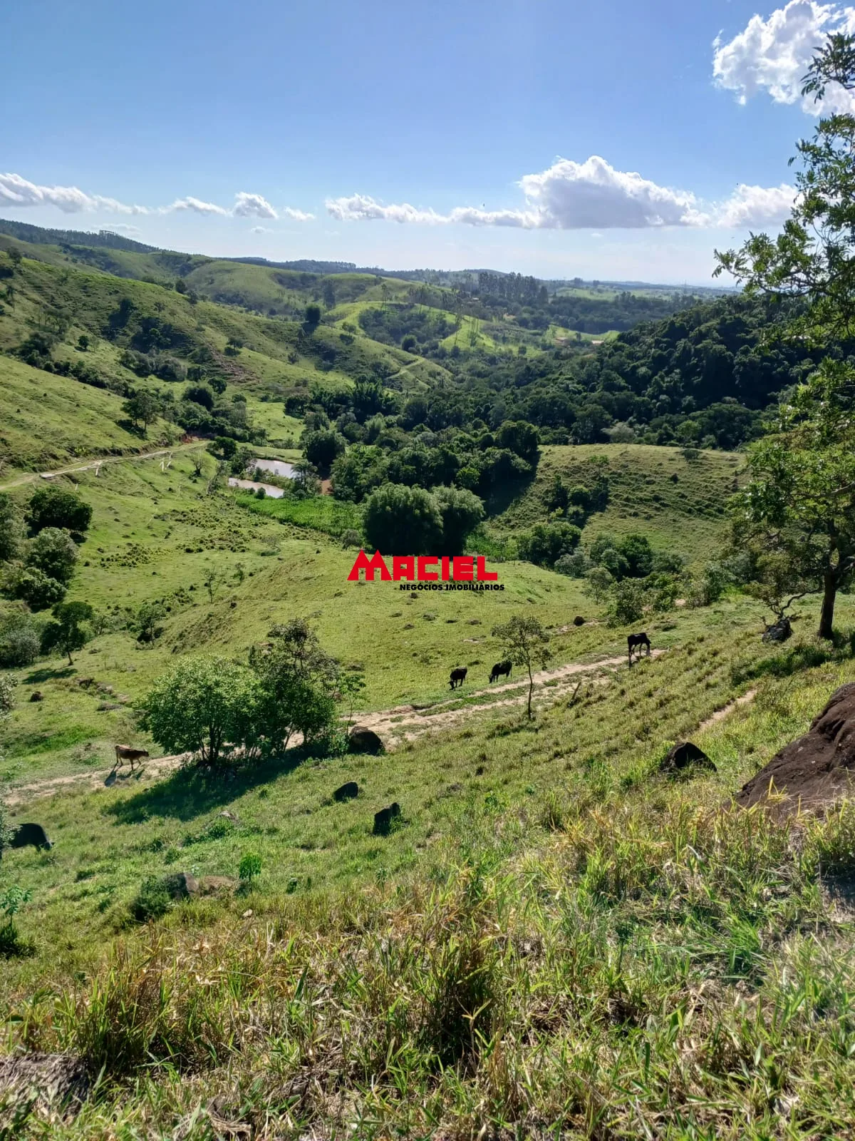 Comprar Rural / S&iacute;tio em Ca&ccedil;apava R$ 2.000.000,00 - Foto 19