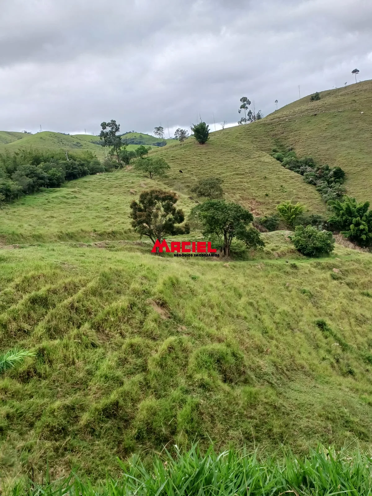 Comprar Rural / S&iacute;tio em Ca&ccedil;apava R$ 2.000.000,00 - Foto 25