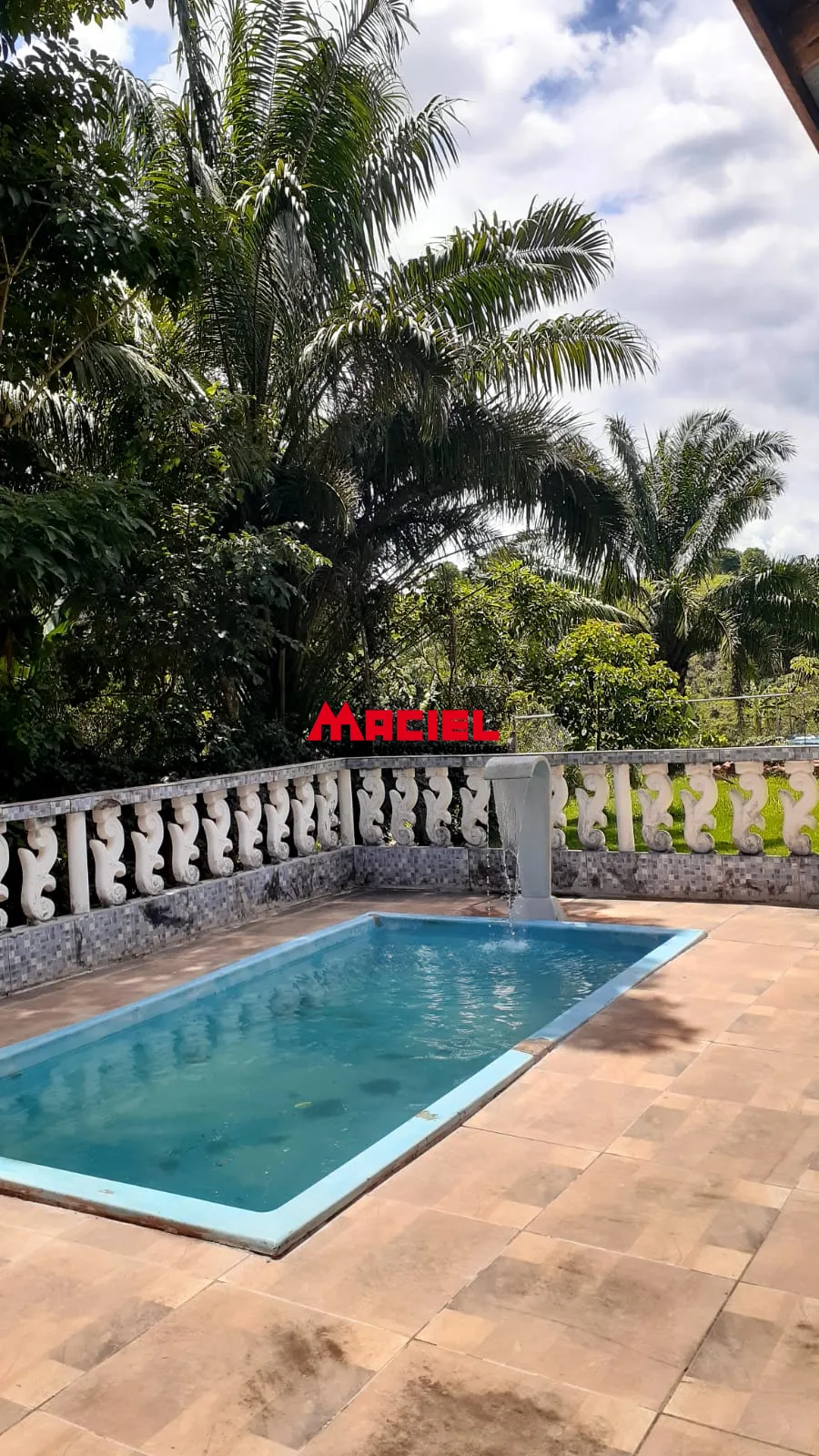 Comprar Rural / Fazenda, S&iacute;tio e Ch&aacute;cara em S&atilde;o Jos&eacute; dos Campos R$ 450,00 - Foto 6